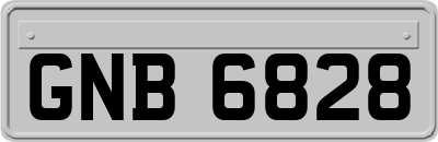 GNB6828