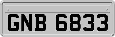 GNB6833