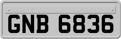 GNB6836