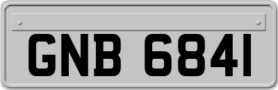 GNB6841