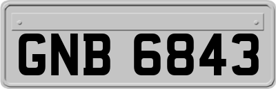 GNB6843