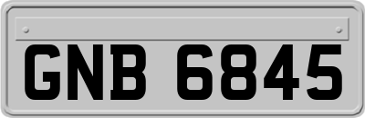 GNB6845