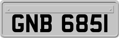 GNB6851