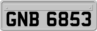 GNB6853