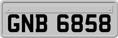 GNB6858