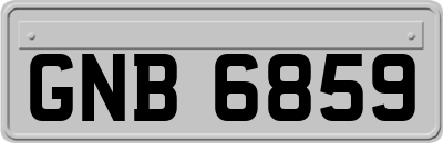 GNB6859