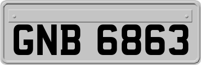 GNB6863