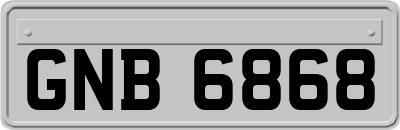 GNB6868