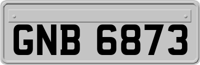 GNB6873