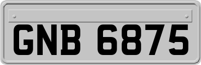 GNB6875