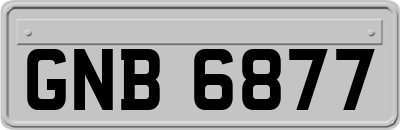 GNB6877