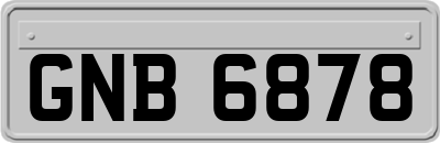 GNB6878