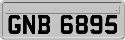GNB6895