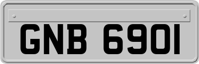 GNB6901