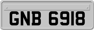 GNB6918