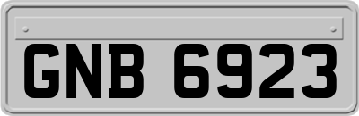 GNB6923