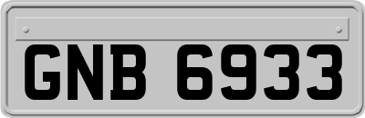 GNB6933