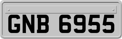 GNB6955