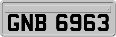 GNB6963