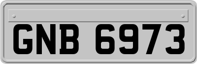 GNB6973