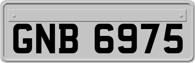 GNB6975