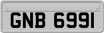 GNB6991