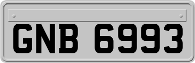 GNB6993