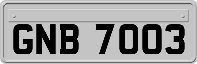 GNB7003