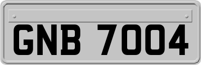 GNB7004