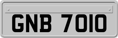GNB7010