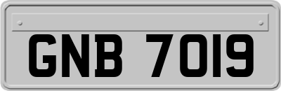 GNB7019