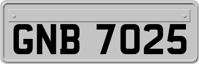 GNB7025