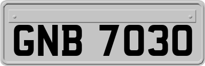 GNB7030