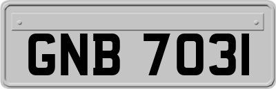 GNB7031