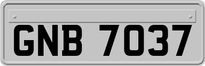 GNB7037
