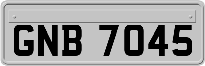GNB7045