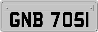 GNB7051