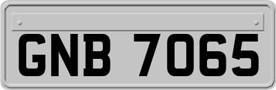 GNB7065
