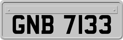 GNB7133