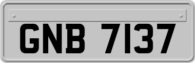 GNB7137