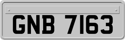 GNB7163