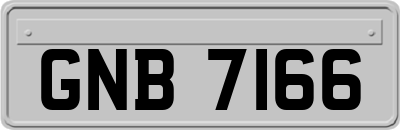 GNB7166