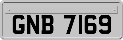 GNB7169