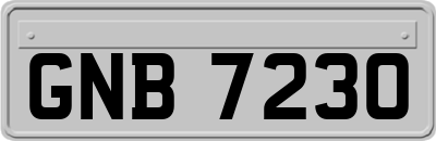 GNB7230