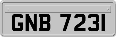GNB7231