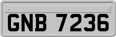 GNB7236