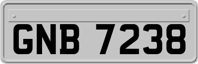 GNB7238