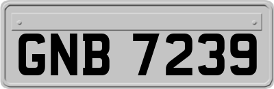 GNB7239