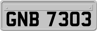 GNB7303
