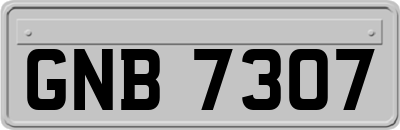 GNB7307